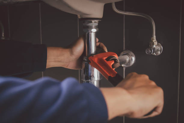 Best Local Plumber Services  in Arapahoe, WY